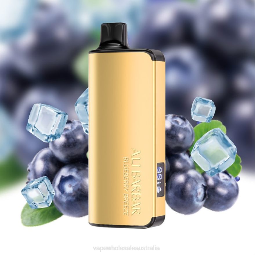 Electronic Cigarette Wholesale - Alibarbar Ingot 20000 Disposable Vape Blueberry Breeze BZ4LD432