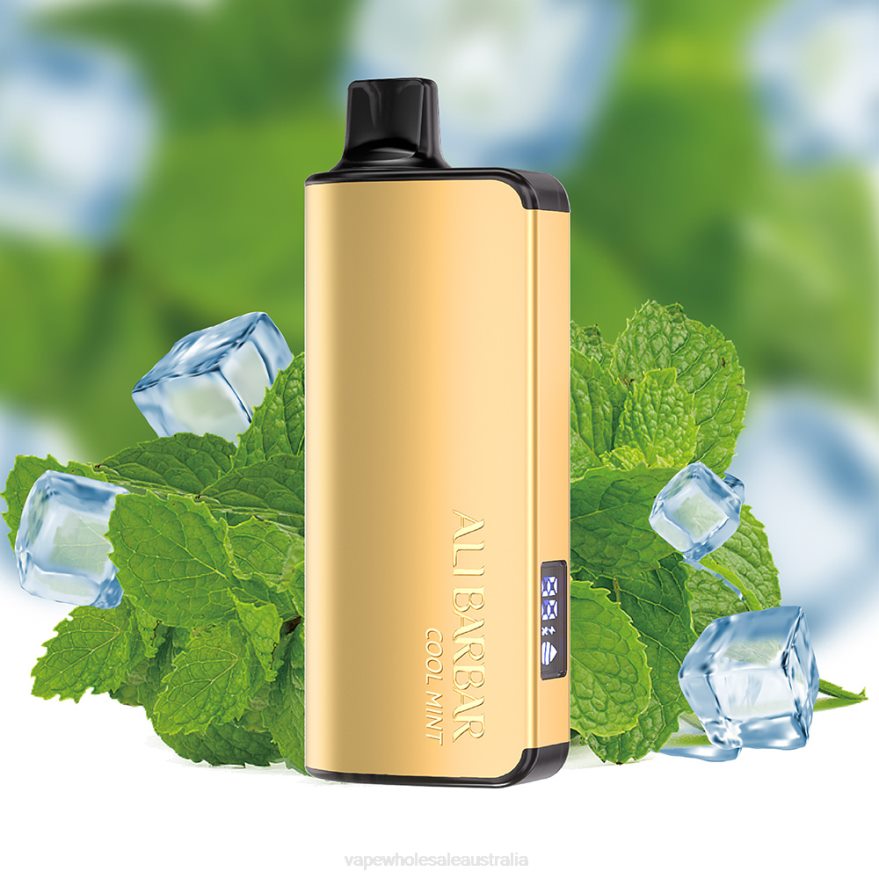 Vaping Supplies Online - Alibarbar Ingot 9000 Disposable Vape Cool Mint BZ4LD418