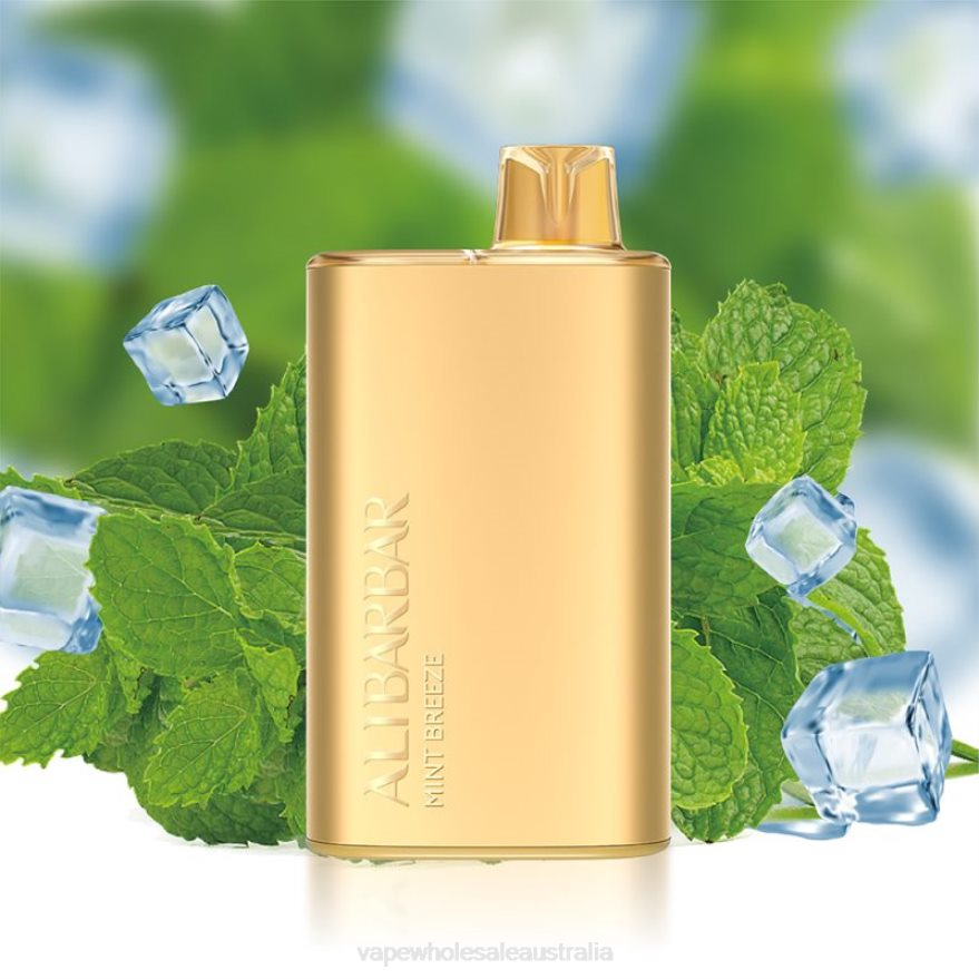 Vape Wholesale Global - Alibarbar Rich 8000 Disposable Vape Mint Breeze BZ4LD48