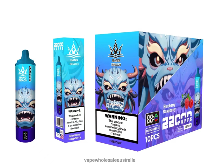 Electronic Cigarette Wholesale Supplier - Bang Beach 22000 Puffs Smart Screen Blueberry Raspberry 608HD14