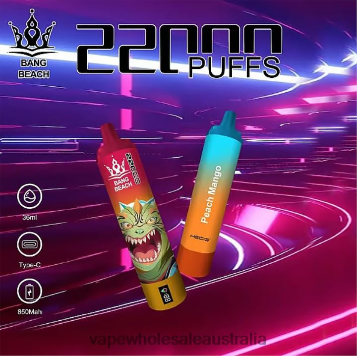 Vape Wholesale Supplier - Bang Beach 22000 Puffs Smart Screen Peach Mango 608HD24