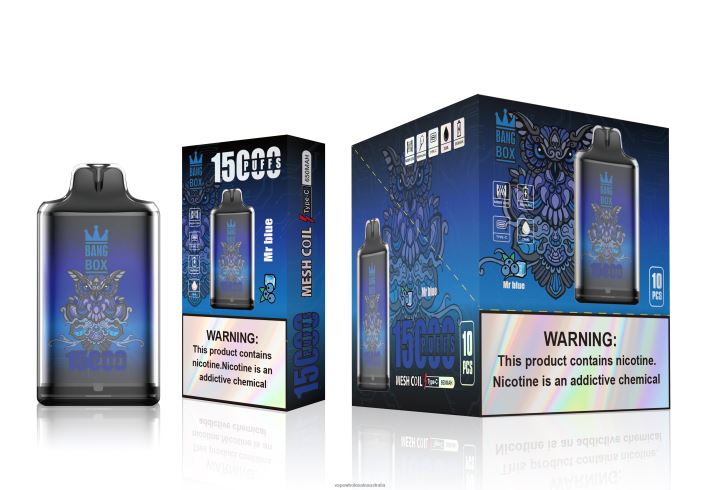 Electronic Cigarette Wholesale Price - Bang Box S1-15000 Puffs Mr Blue 608HD109