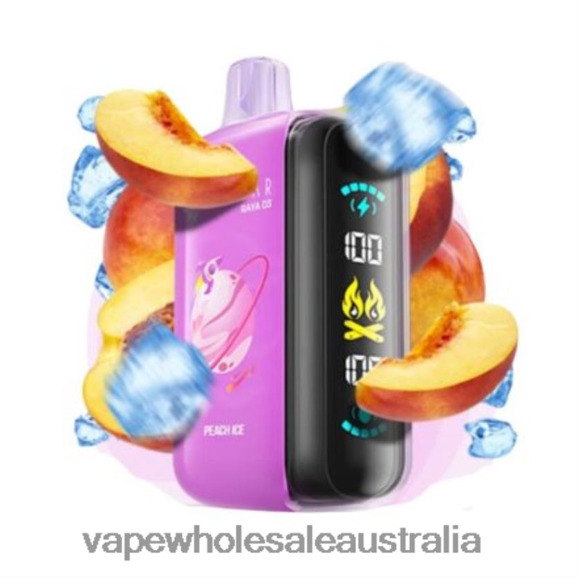 Vape Wholesale Melbourne - Disposable Elf Bar Raya D3 25000 0R8P461