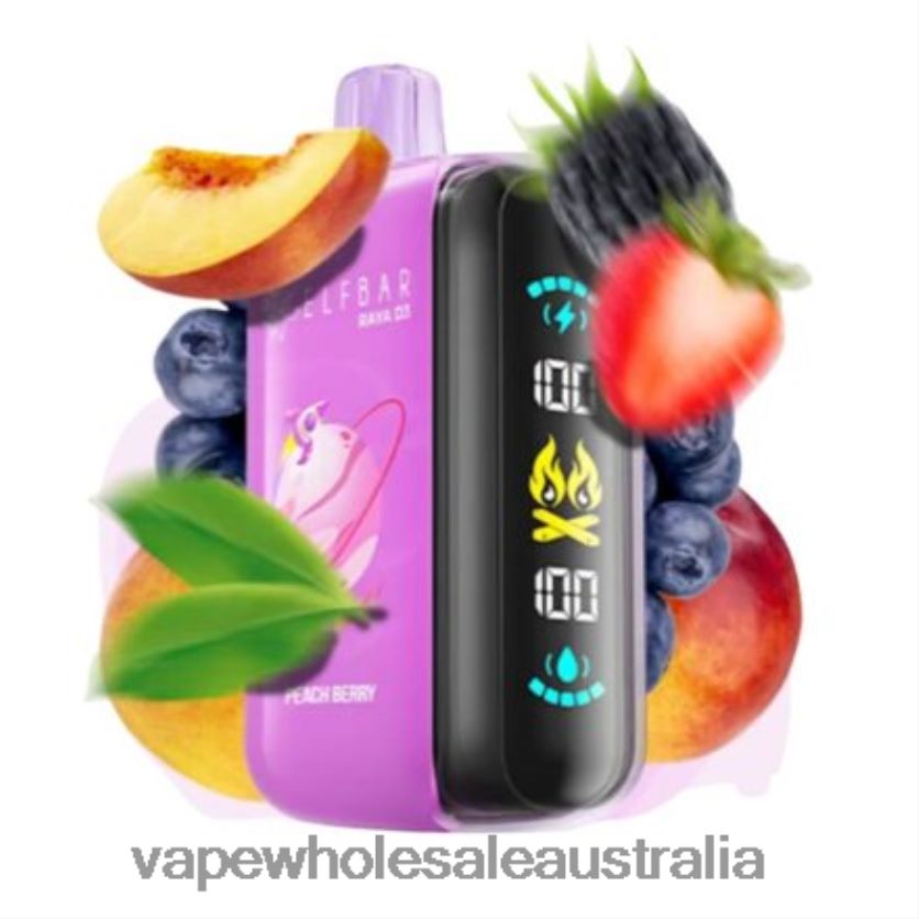 Vape Wholesale Melbourne - Disposable Elf Bar Raya D3 25000 0R8P461