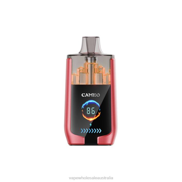 Electronic Cigarette Wholesale Supplier - Watermelon Ice LAVIE CAMEO 30000 Puffs 8L8X14