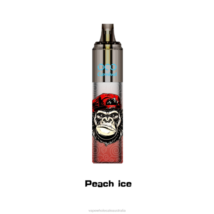 Electronic Cigarette Wholesale - Peach Ice LAVIE OCO Carnival 10000 Puffs 8L8X355
