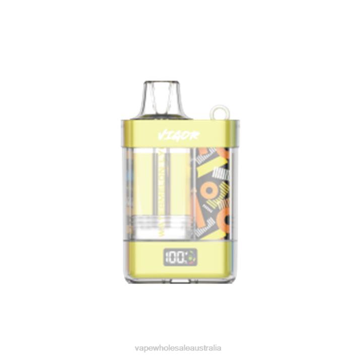 E Cigarette Wholesale - Watermelon Lychee LAVIE VIGOR 15000 Puffs 8L8X11