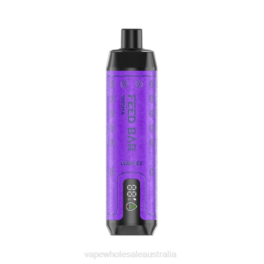 Vape Wholesale Distributor - Vapsolo SHISHA Disposable Vape Lush Ice BZ4LD4102