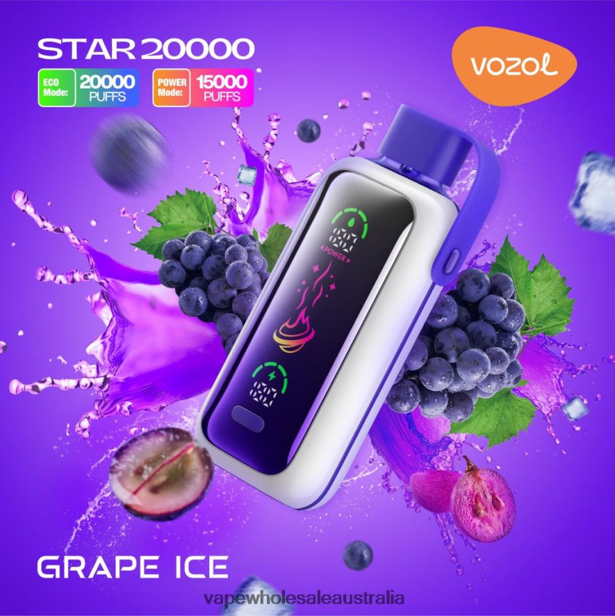 E Cig Wholesale Distributors - GRAPE ICE VOZOL STAR 20000 04V6D49
