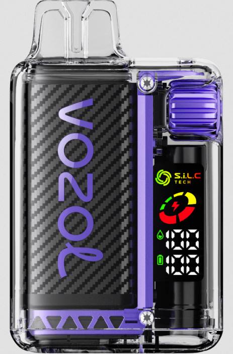 Grape Ice - vape wholesale distributor 4DF0R12 VOZOL VISTA 16000/20000 5%